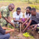 CÉLÉBRATION DE LA JOURNÉE DE L’ARBRE EN DIFFÉRÉ À GLAZOUÉ : La mairie des jeunes met plusieurs plants en terre au CFPA d’Agouagon